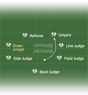 Shows the field with the renamed Down Judge.